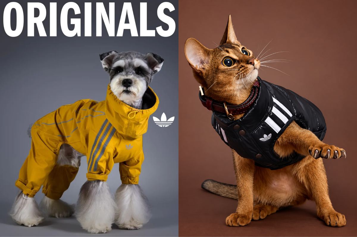 La collection adidas Originals Pet Winter 2026