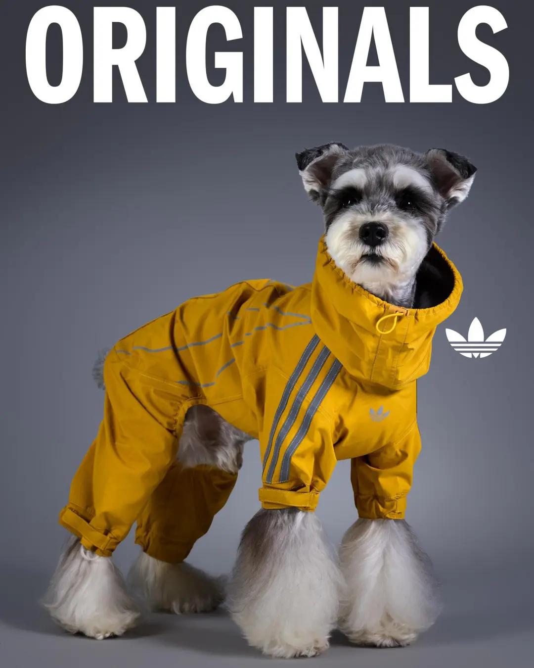 Le Pet Knitted Hoody adidas