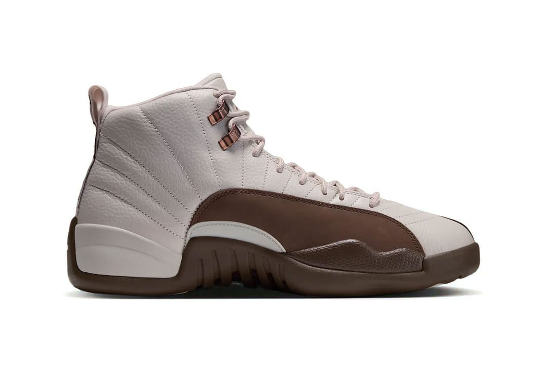 Vue de la Air Jordan 12 Fireside